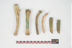 Foto von Bronzesitula (NHMW-PRAE-024488)